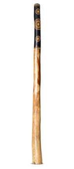 Jesse Lethbridge Didgeridoo (JL260)
